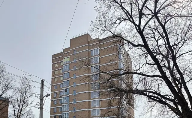 Брусника — фото 4